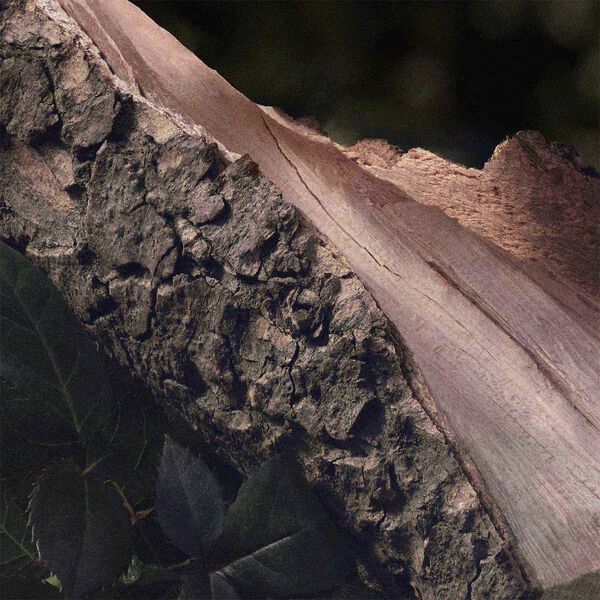 CHLOÉ Naturelle Eau de parfum