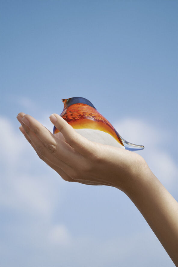 GLASS BIRD ATLAS ORANGE/PINK