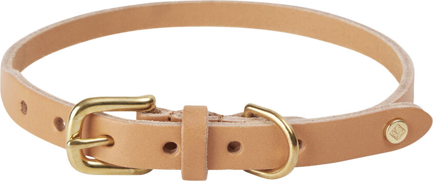 Robin Hundehalsb&aring;nd - Medium