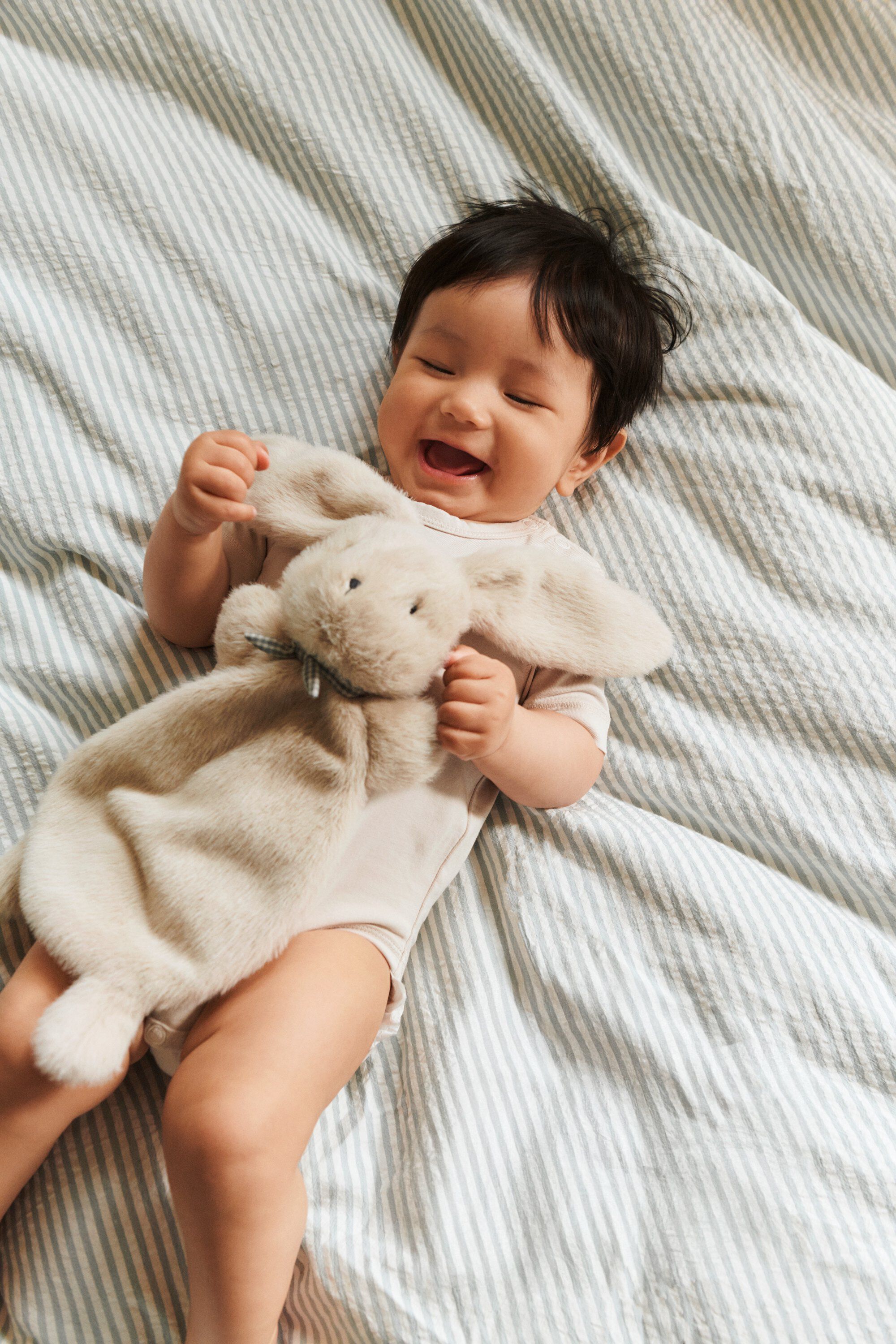 Roy Rabbit Cuddle Cloth Mist-One si
