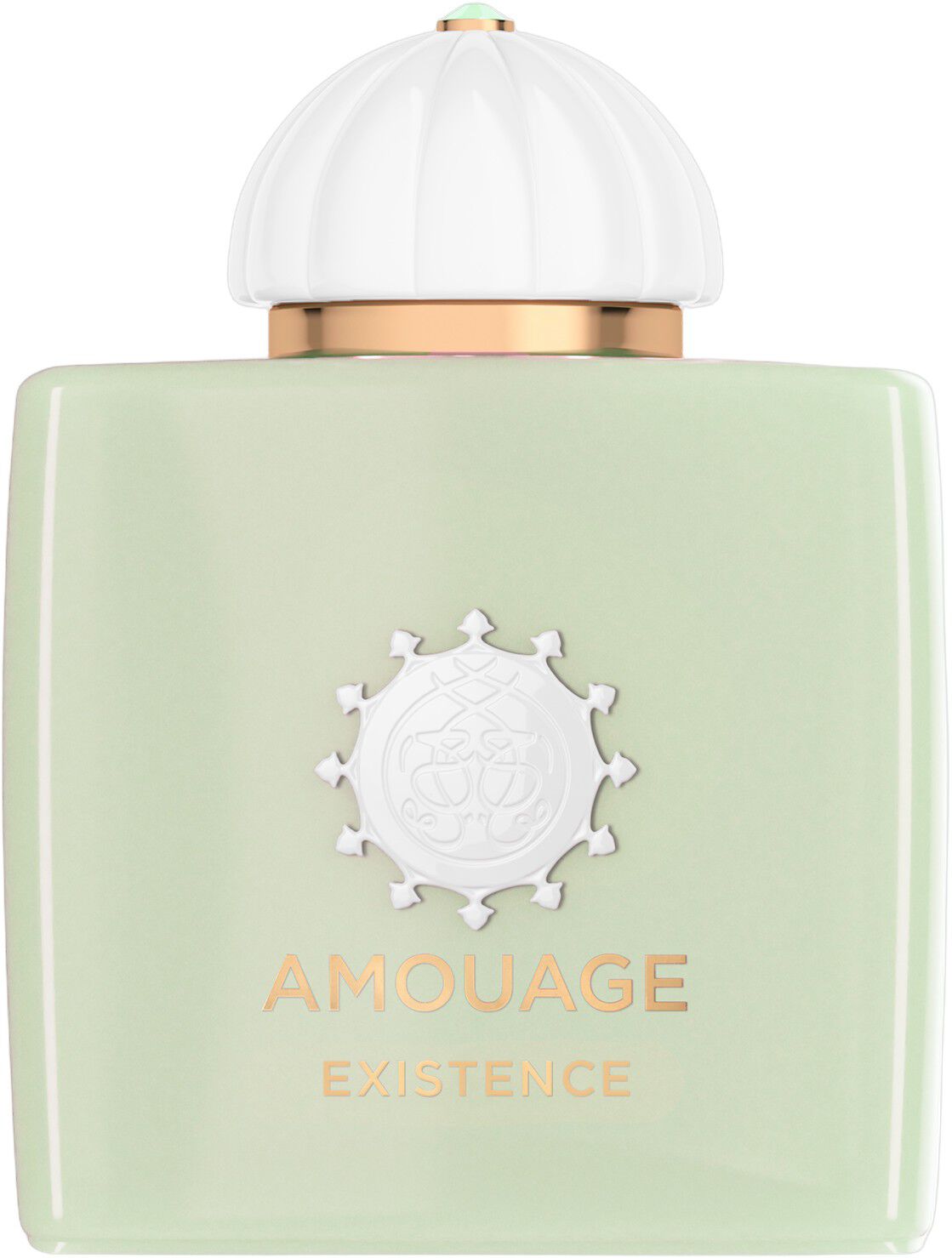 AMOUAGE EXISTENCE EDP 100 ML