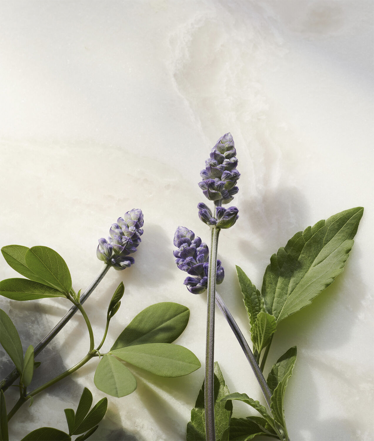 The Ritual of Namaste Glow Anti-Ageing Day Cream