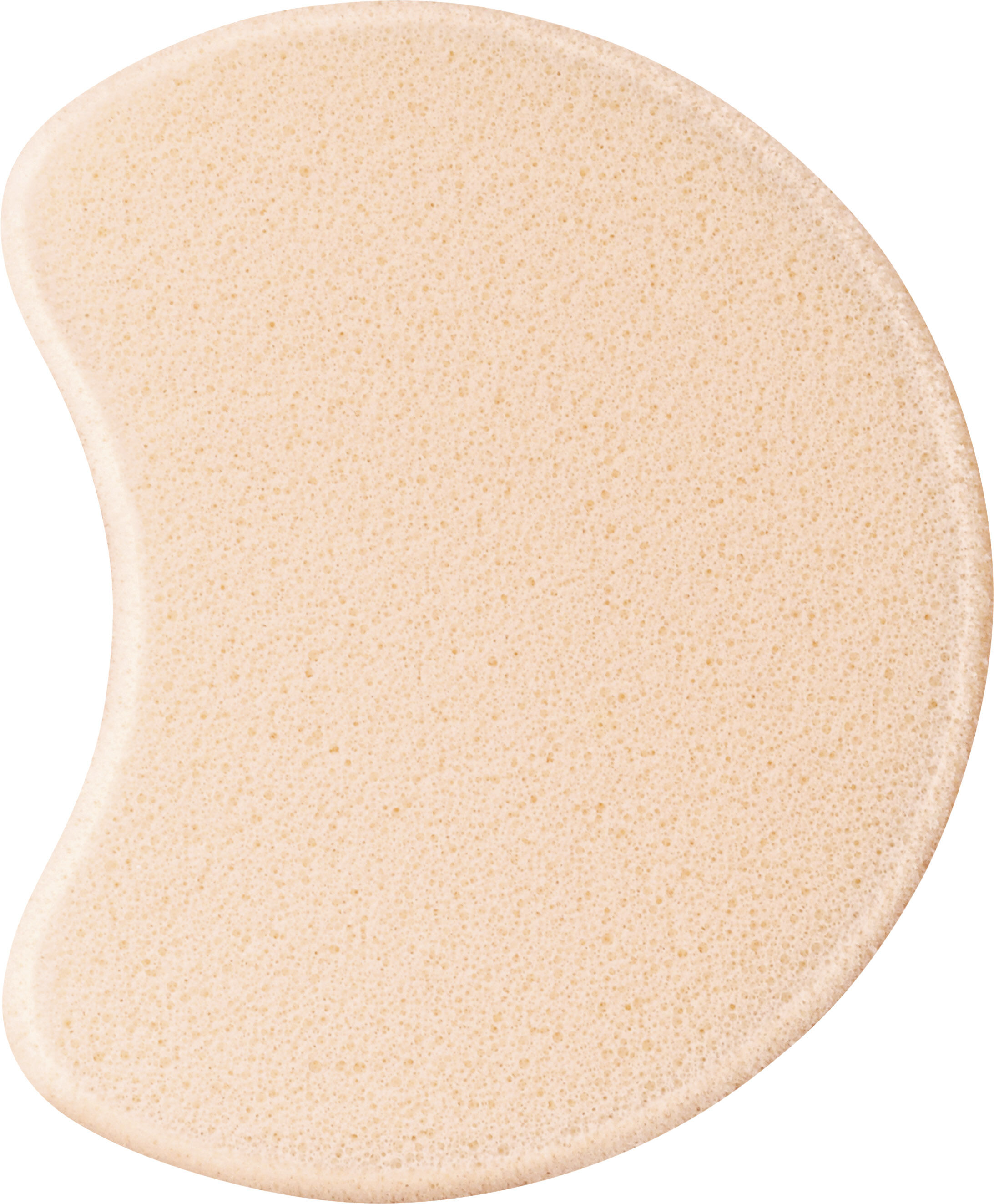 Foundation Sponge