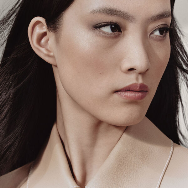 Ombres d'Hermès, powder quartet for the eyes refill, Ombres Fumées