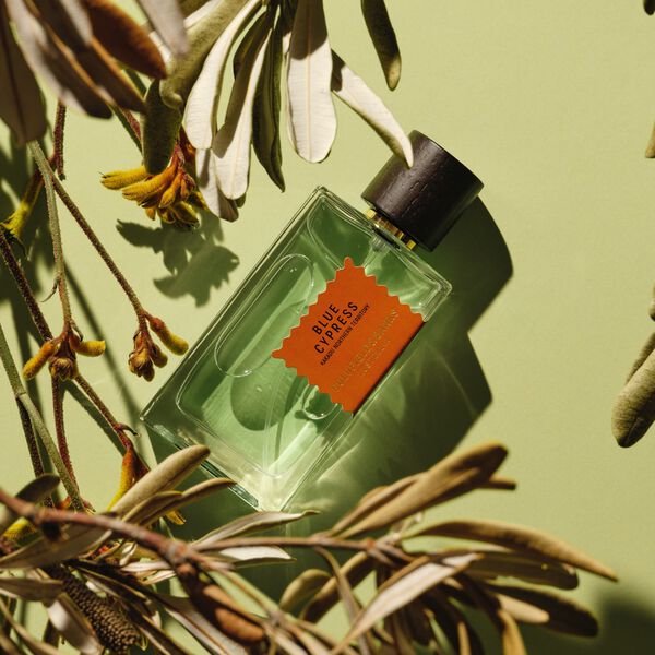 WOOD INFUSION Perfume 100ml