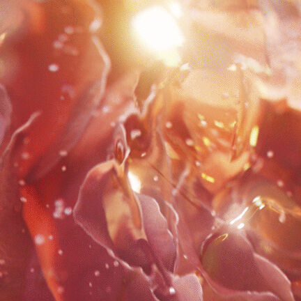 Id&ocirc;le Now Eau de Parfum