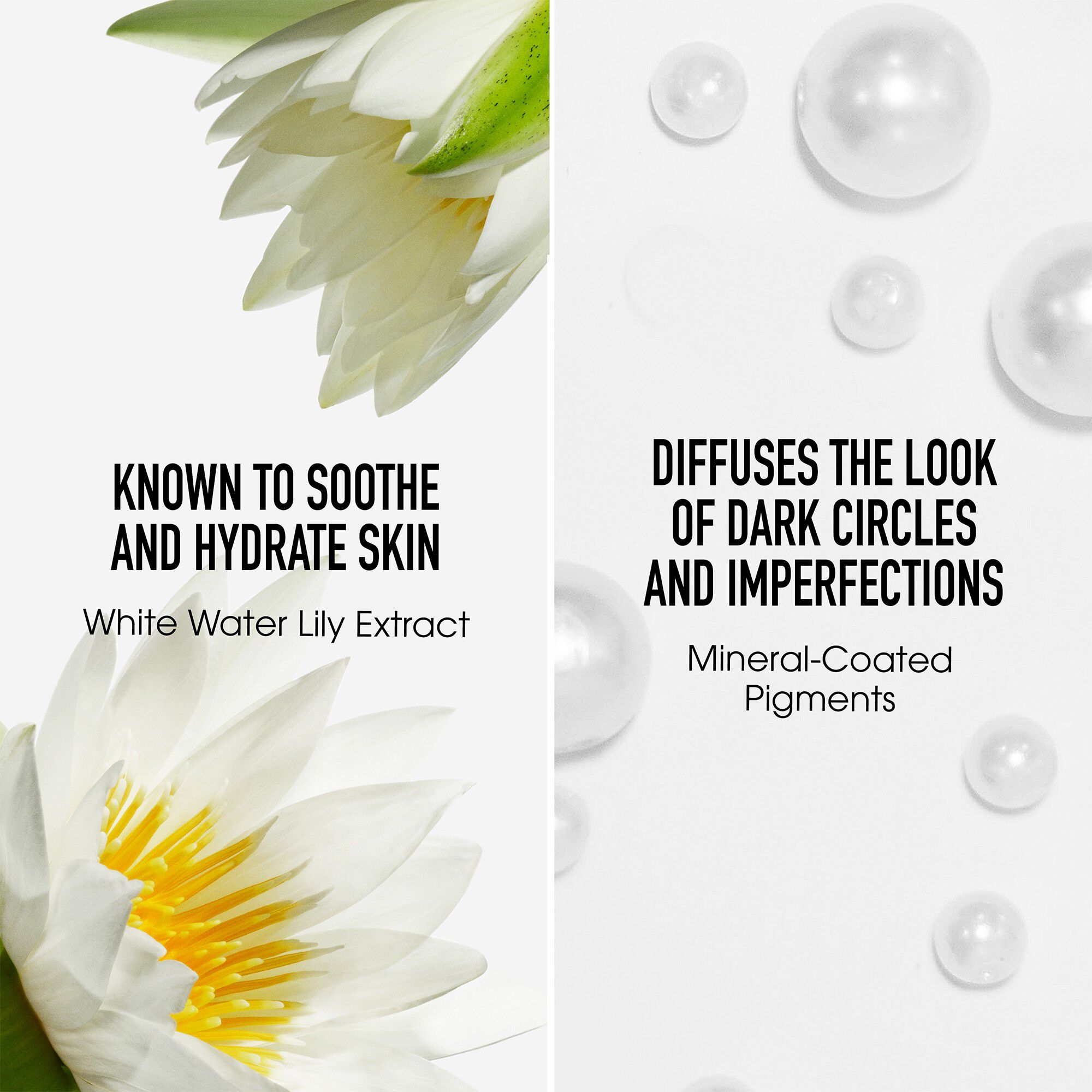 Original Liquid Creamy Concealer