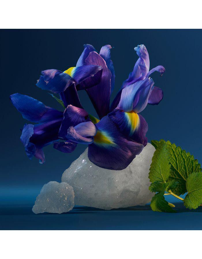 CK One Night Essence Parfum Intense