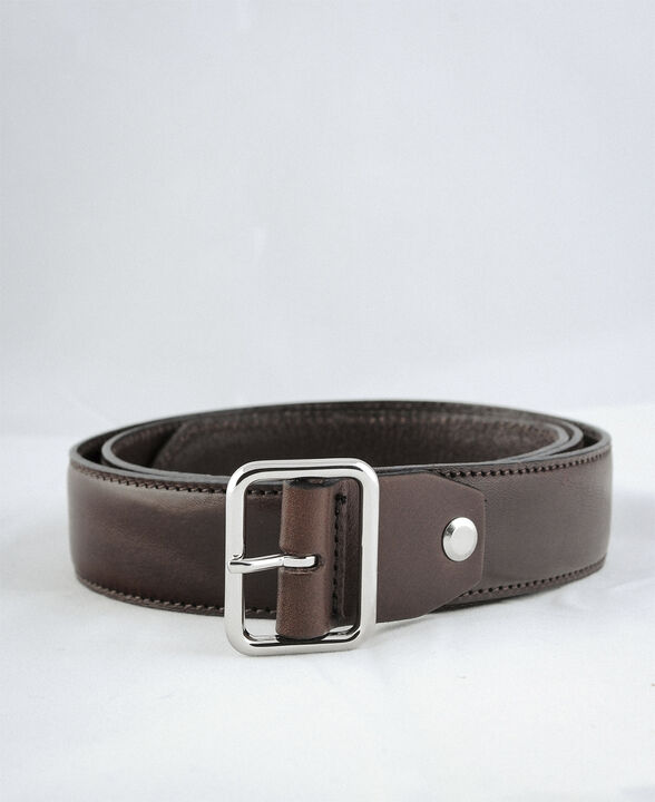 D10217/30 Belt, Brown