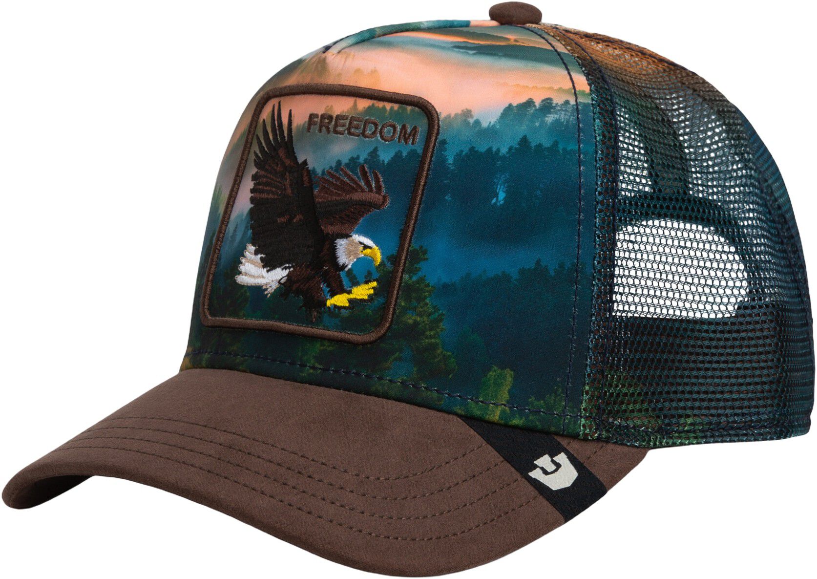 Eagle in the element