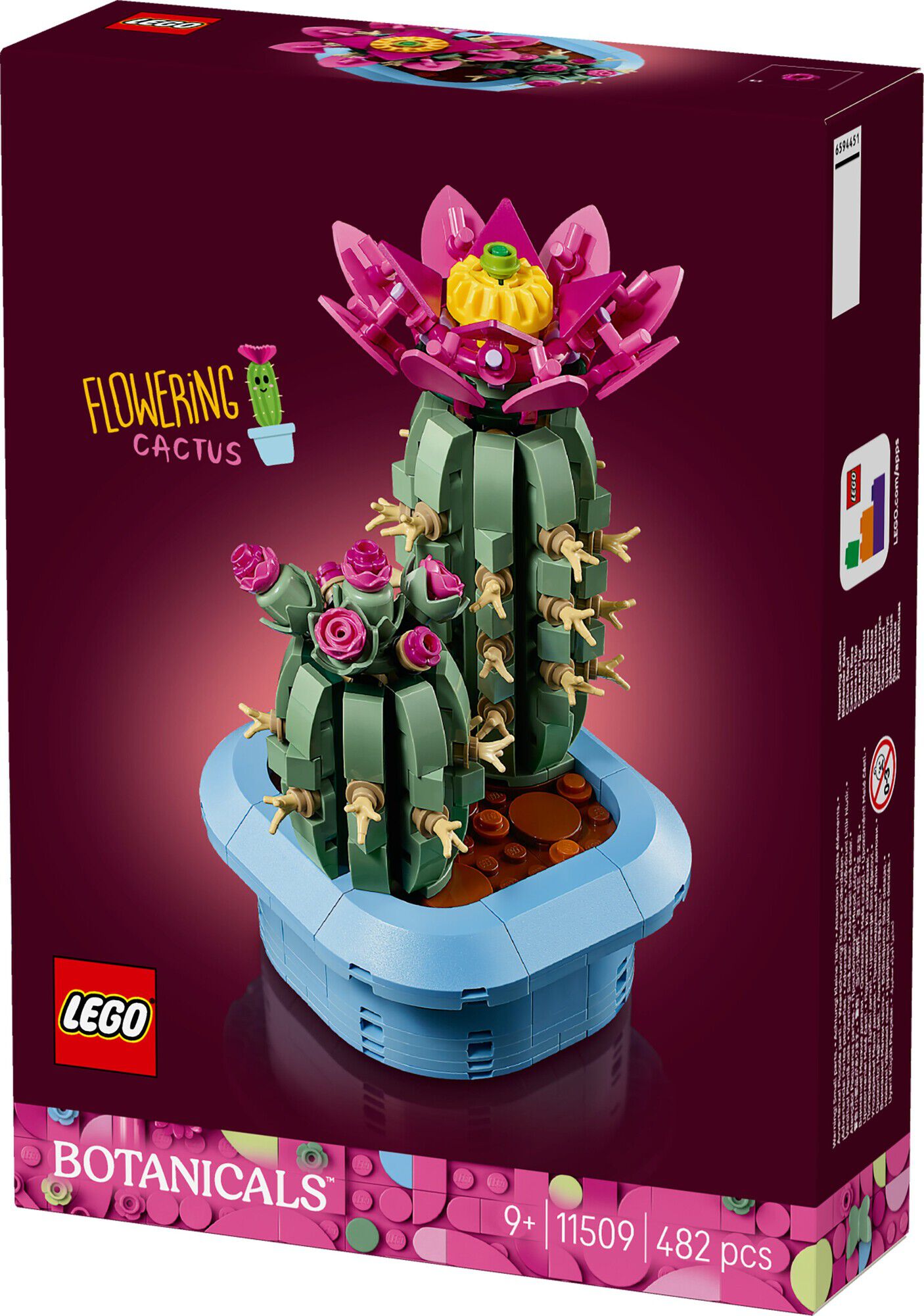 Blomstrende kaktus 11509
