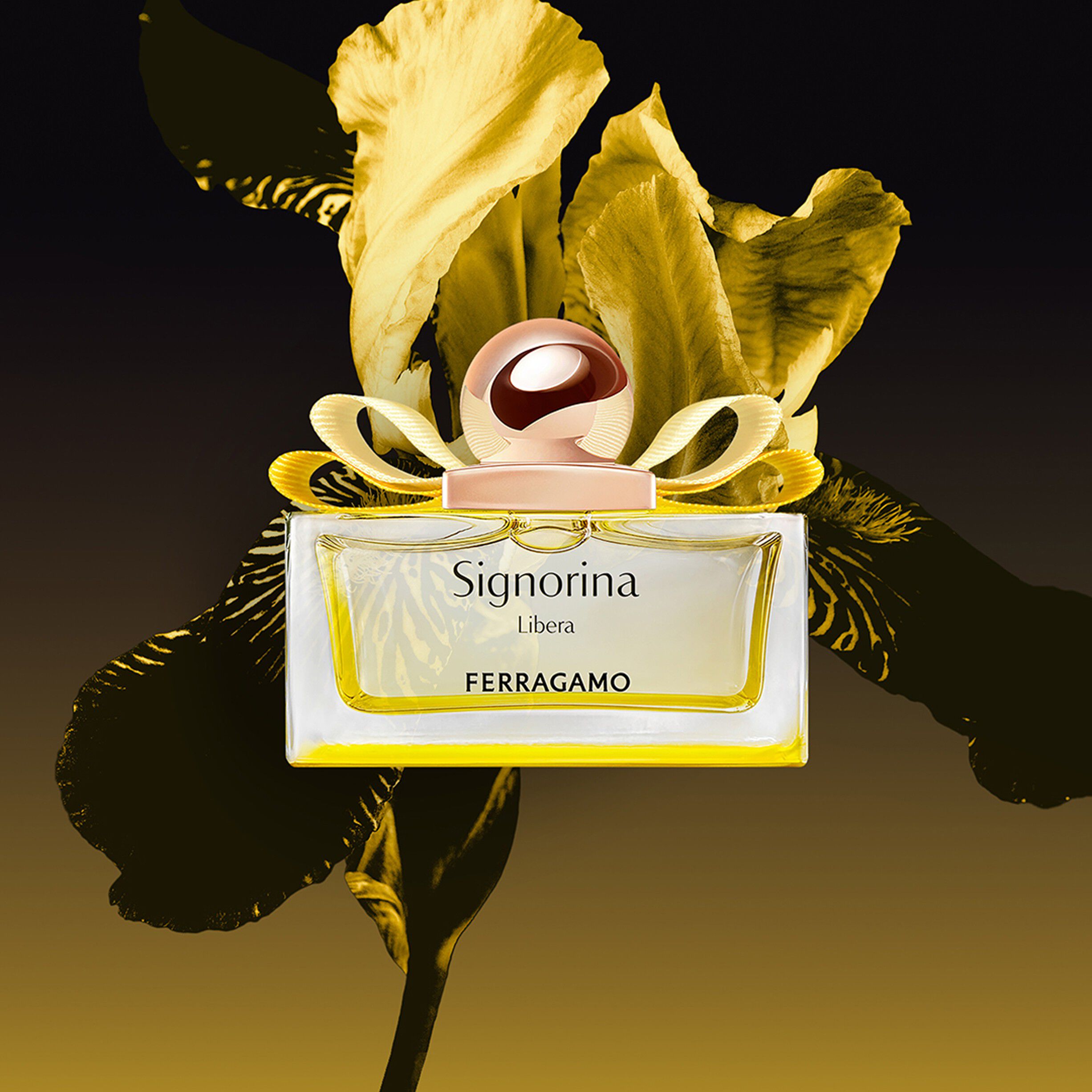 Signorina Libera