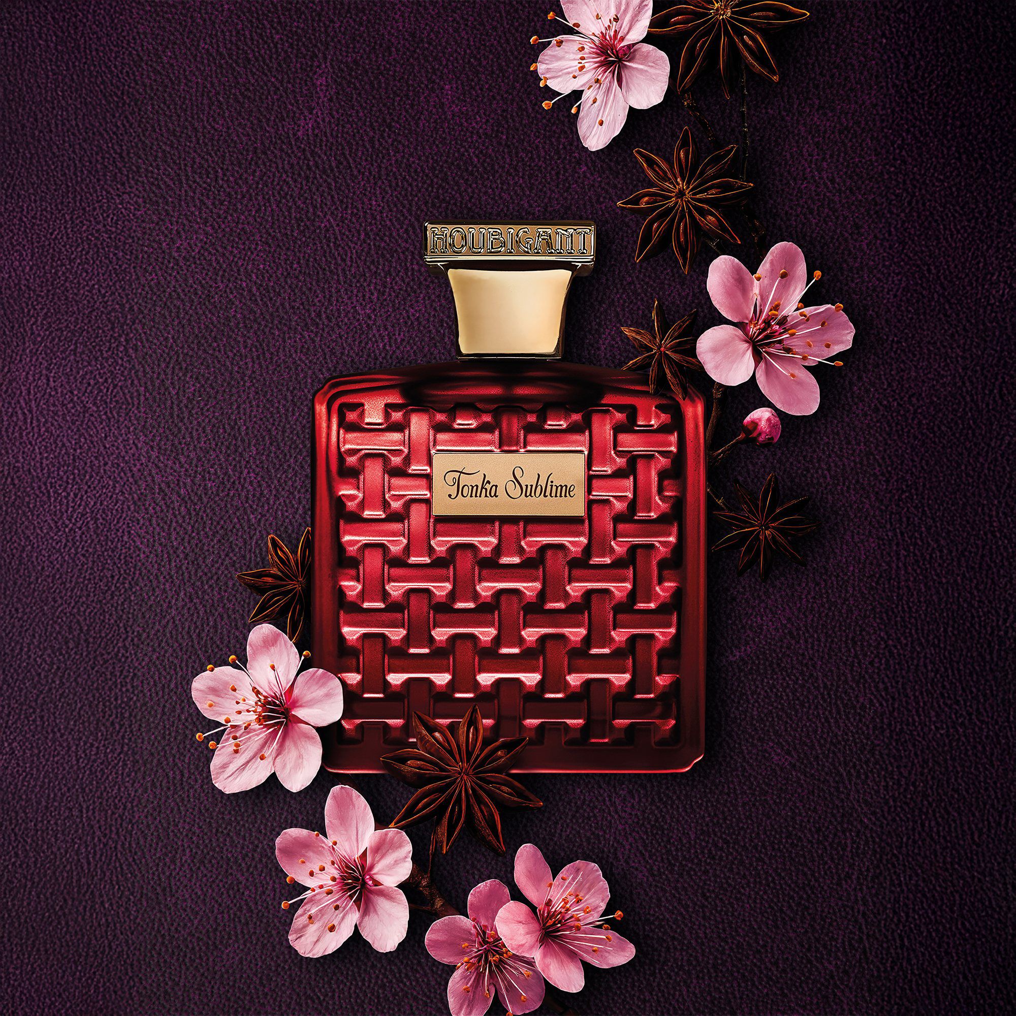 TONKA SUBLIME EdP 100 ml