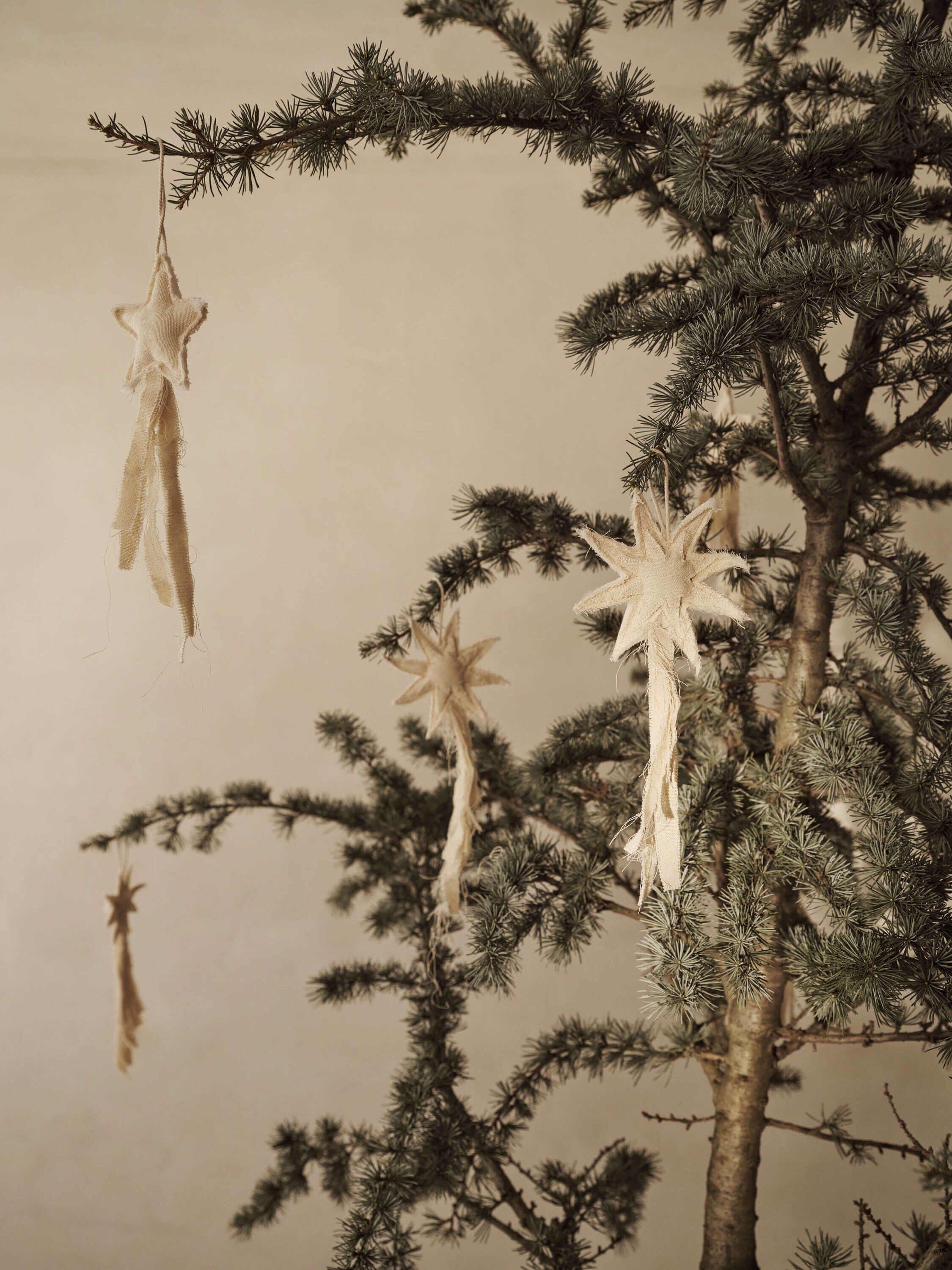 Vela Star Ornaments - Set of 4 - Natural