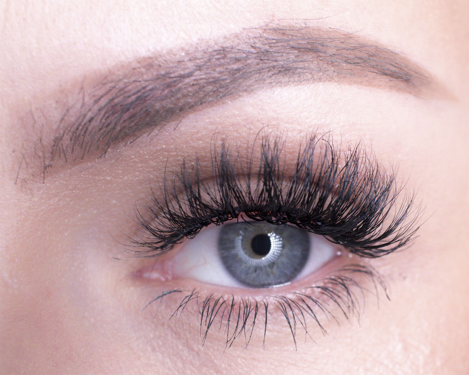 Red Carpet - Premium 3D Collection