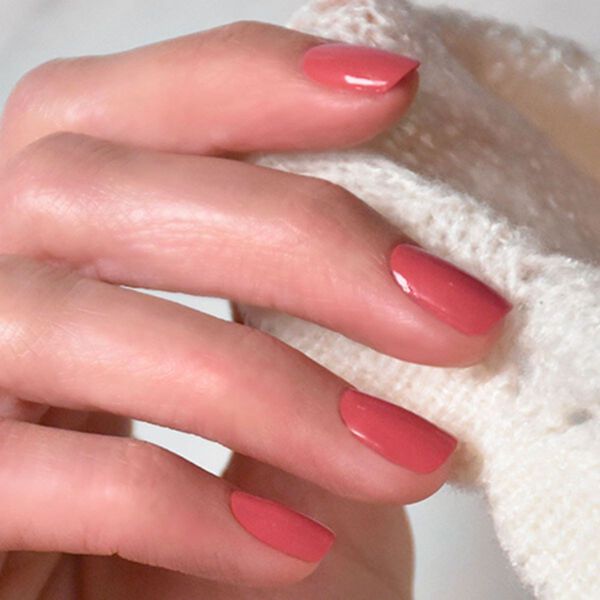 Green Flash - Bois de Rose