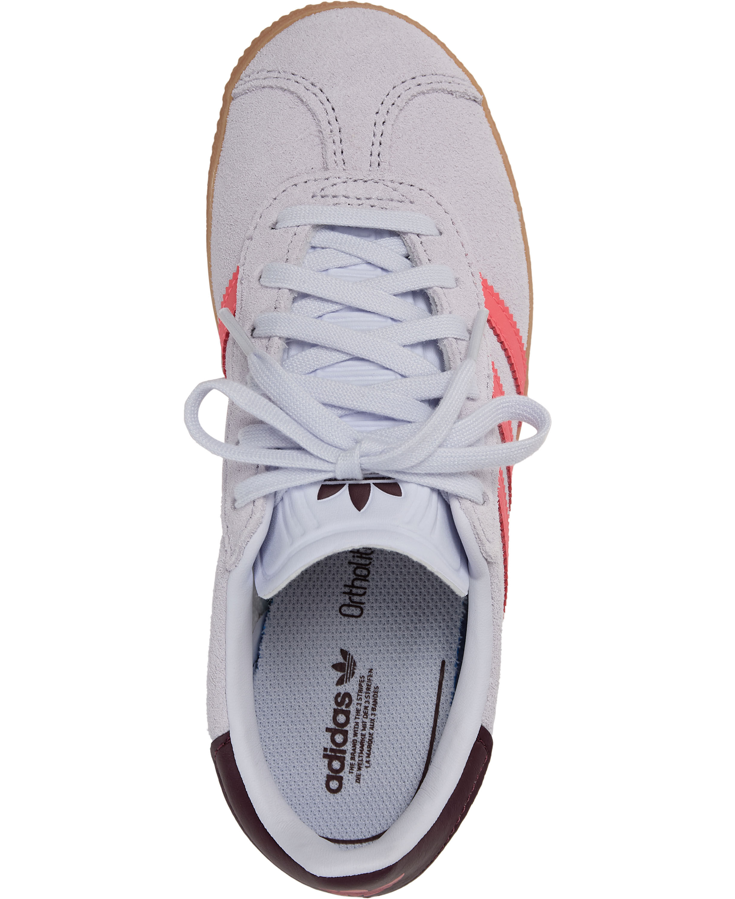 GAZELLE C