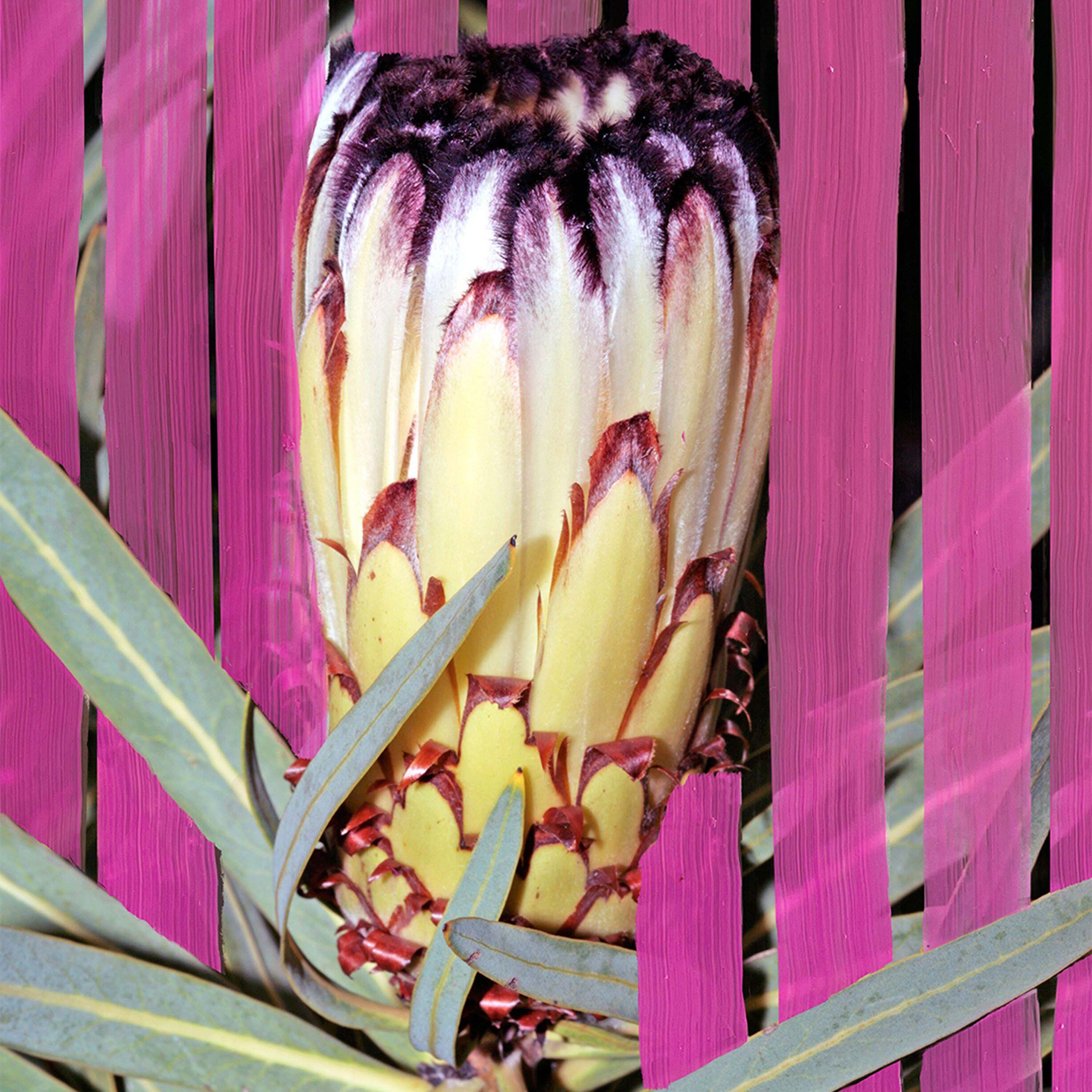 Inflorescence Eau de Parfum