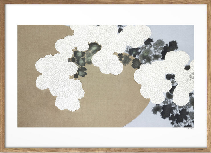 La Collection Japonaise - 05