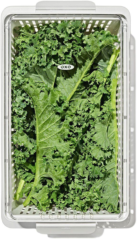 K&oslash;leskabsopbevaring - Mellem