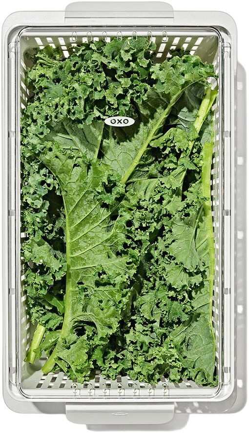 Køleskabsopbevaring - Mellem