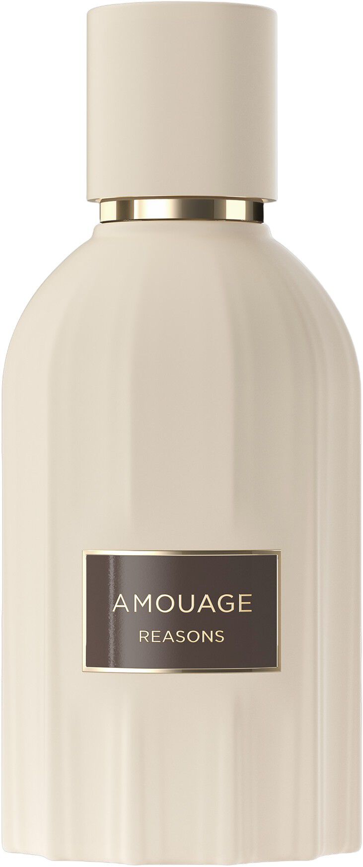 Amouage Reasons Essence De Parfum 100 ml