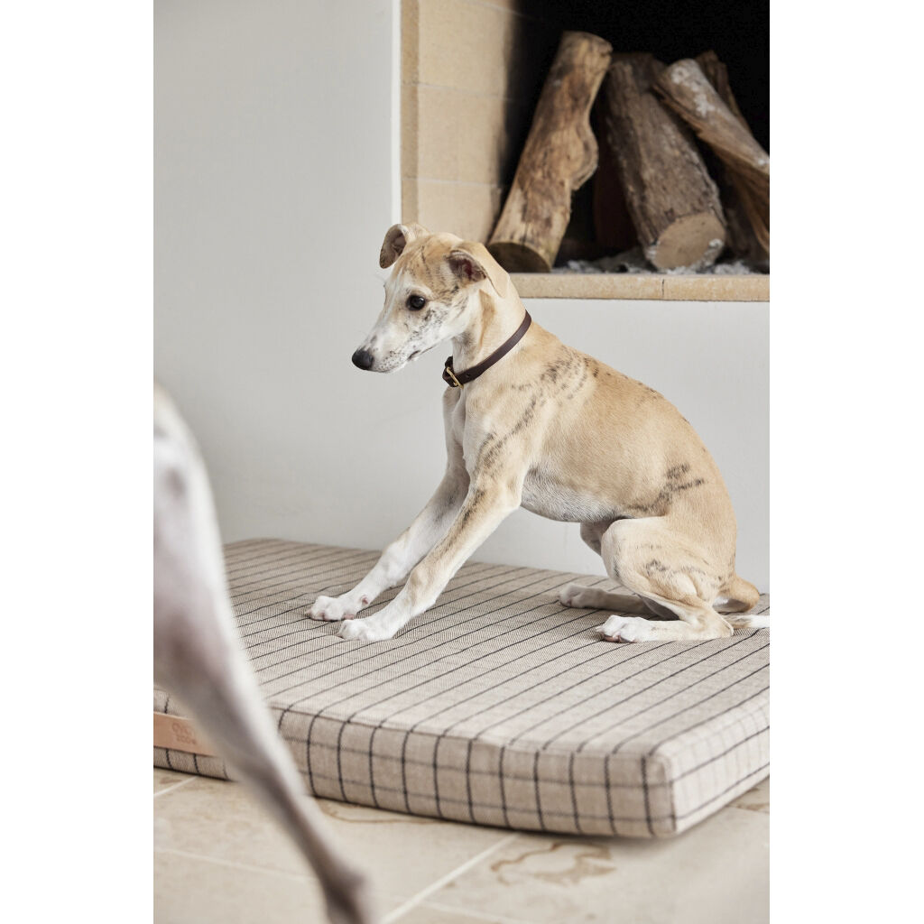 Robin Hundehalsb&aring;nd - Lille