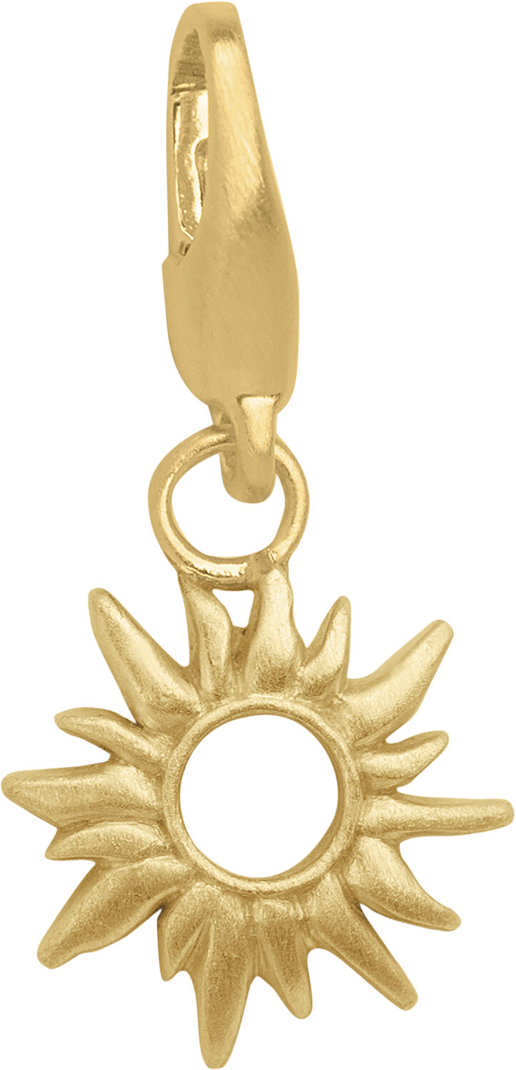 Sun Wild Charm