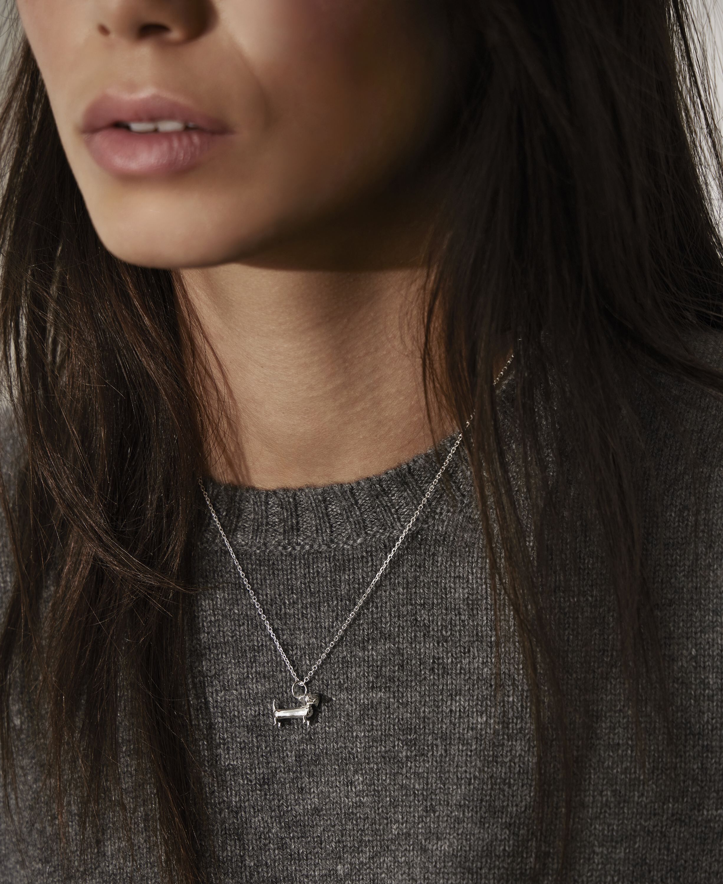 Gravhunden i s&oslash;lv med k&aelig;de med k&aelig;de