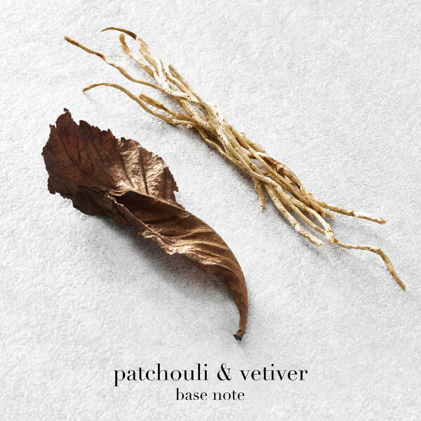 Acqua di Giò Eau de Parfum