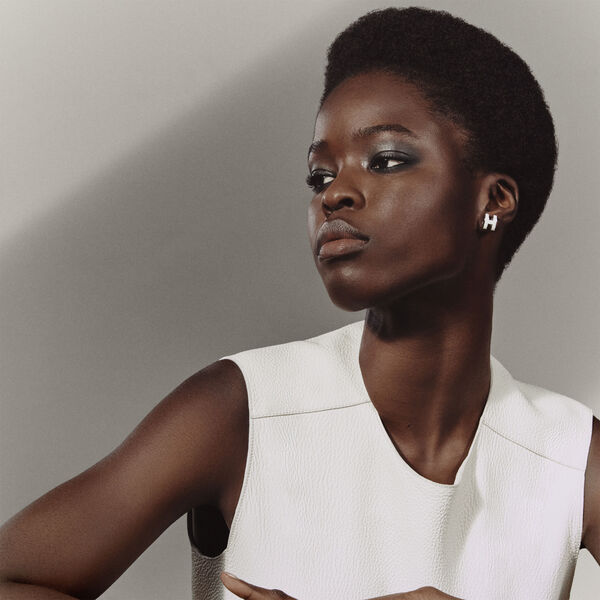 Ombres d'Hermès, powder quartet for the eyes refill, Ombres Fumées