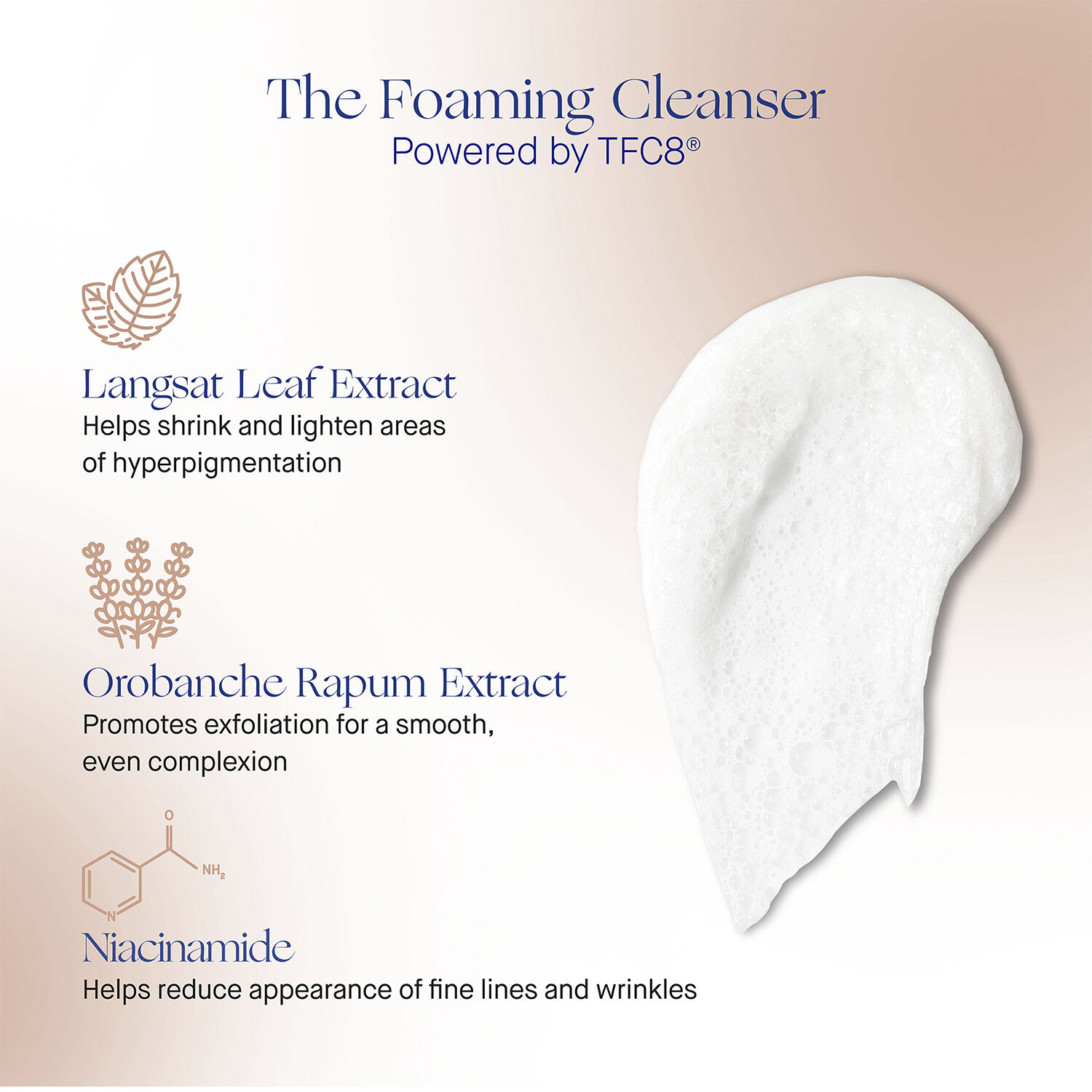The Foaming Cleanser