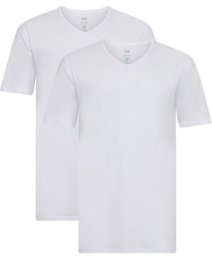 Morley v-neck SS 2-pack GOTS