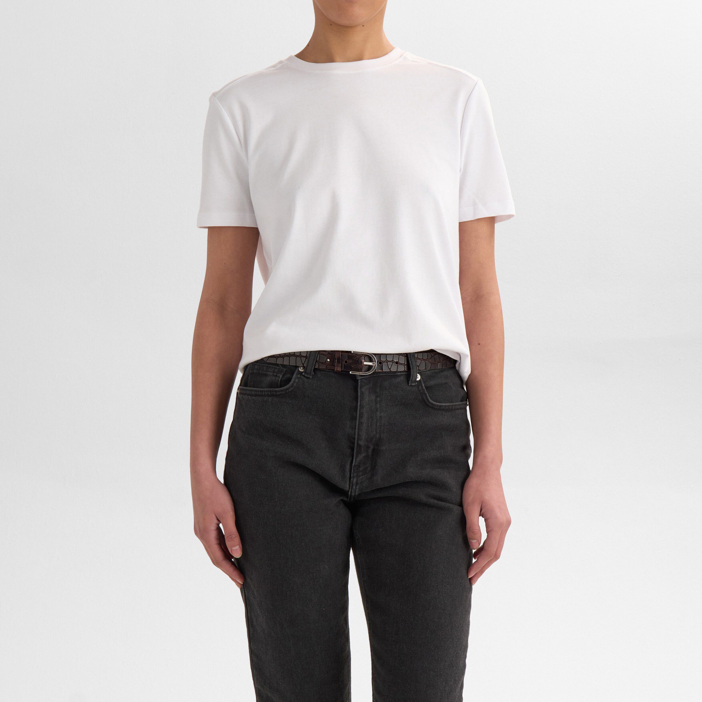 TaylaMBG Belt, Croco