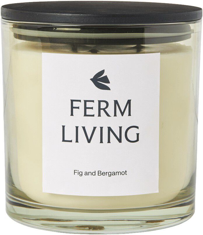 Vitto Scented Candle - H12 - Light Celedon