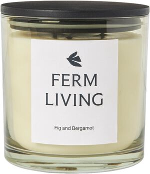 Vitto Scented Candle - H12 - Light Celedon