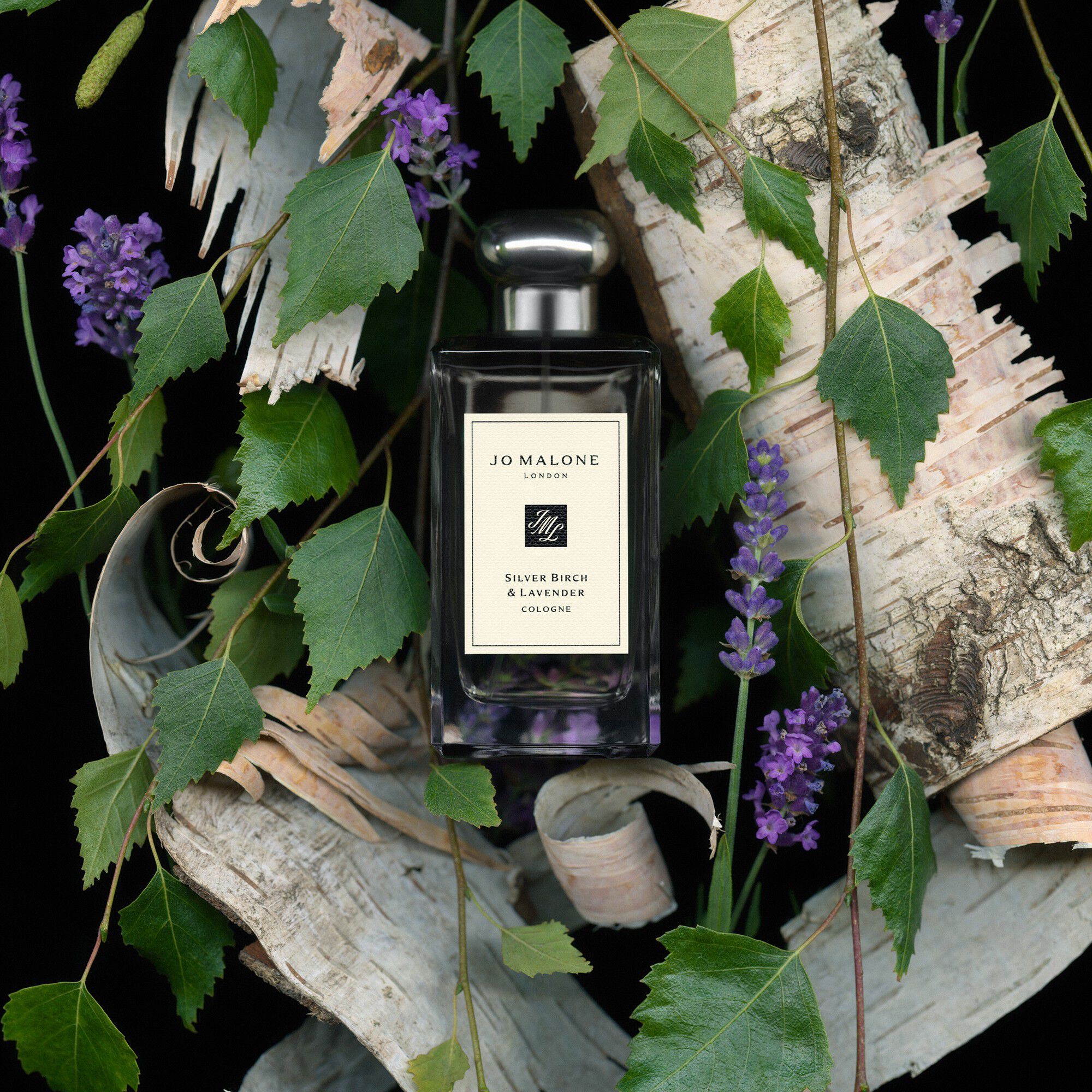 Silver Birch & Lavender Cologne