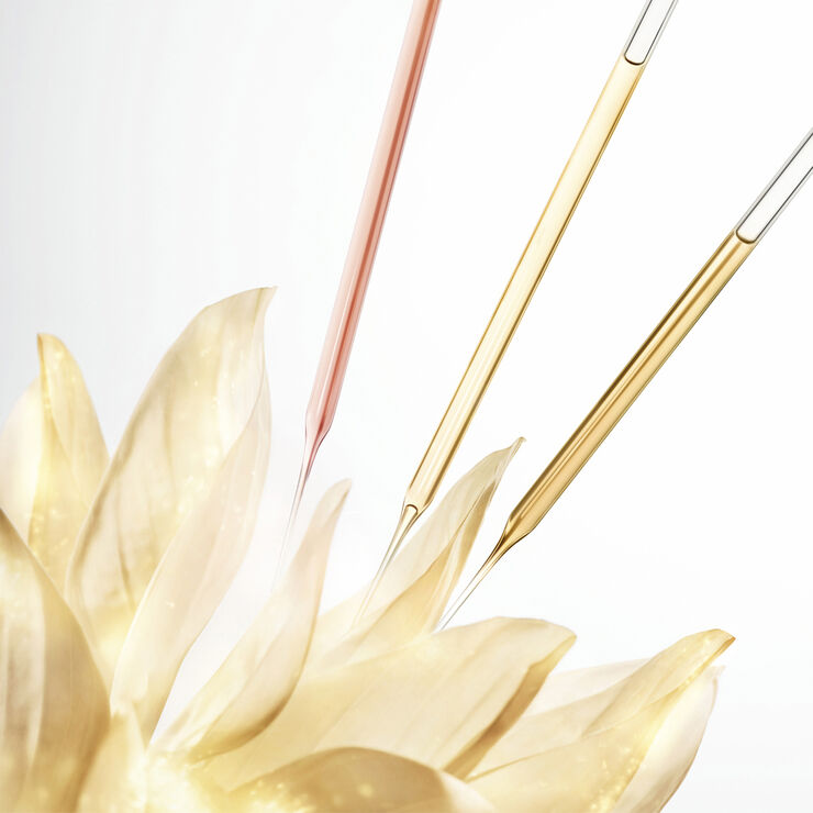 Prodigy Cellglow Concentrate