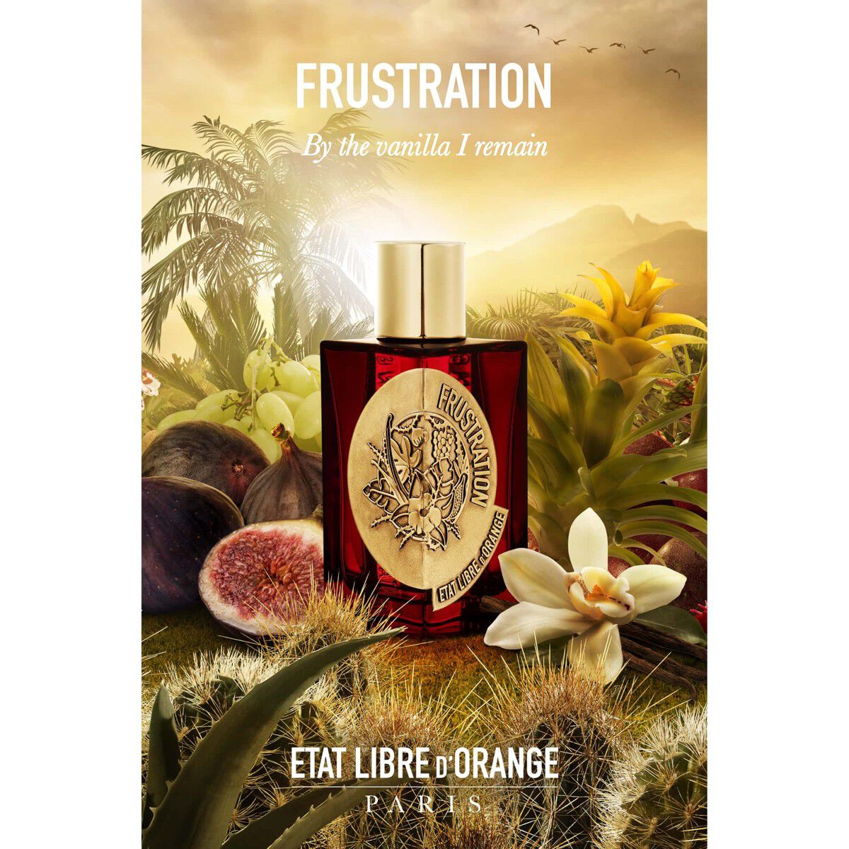 Frustration Eau de Parfum 100 ml