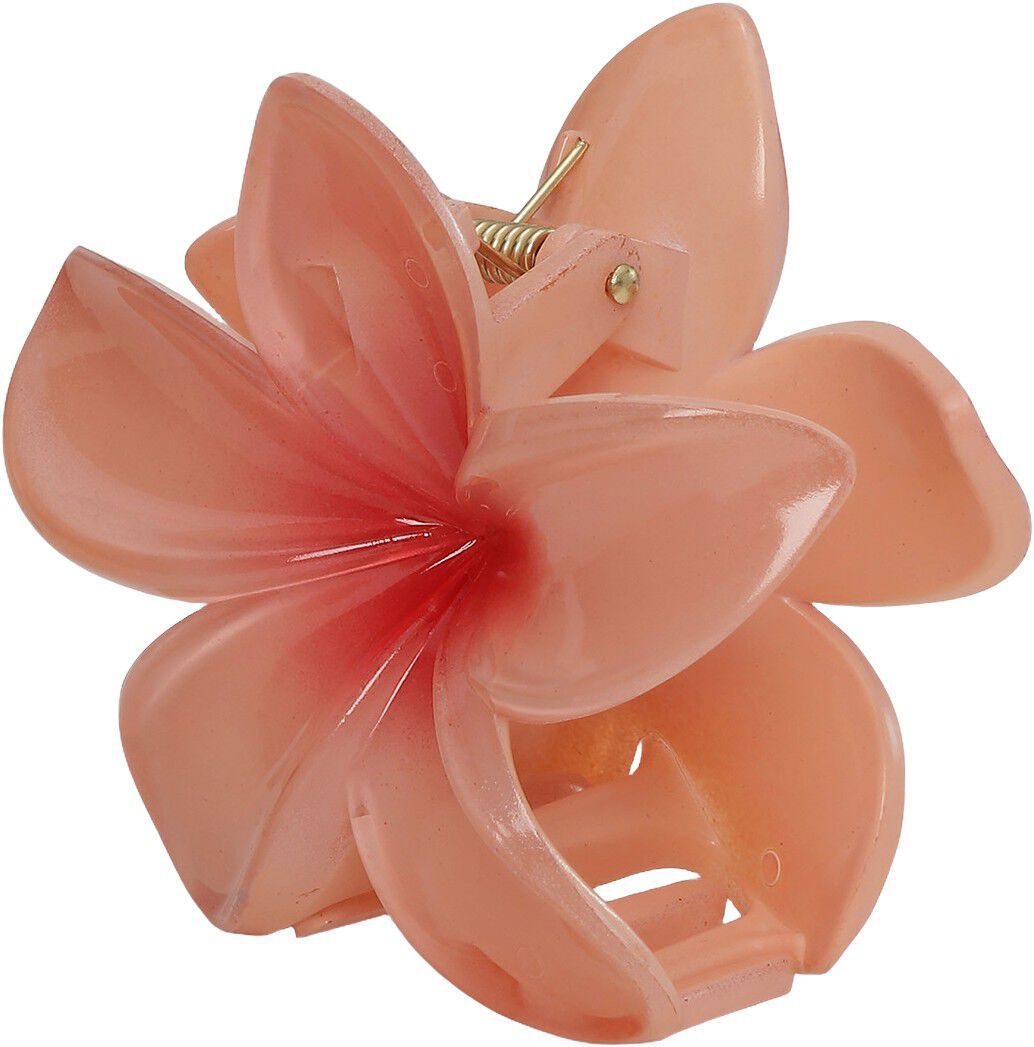Plumeria Bisou Big