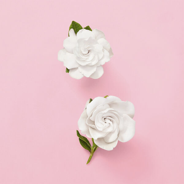 GUCCI Flora Gorgeous Gardenia Eau de parfum