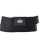 ORCUTT WEBBING BELT