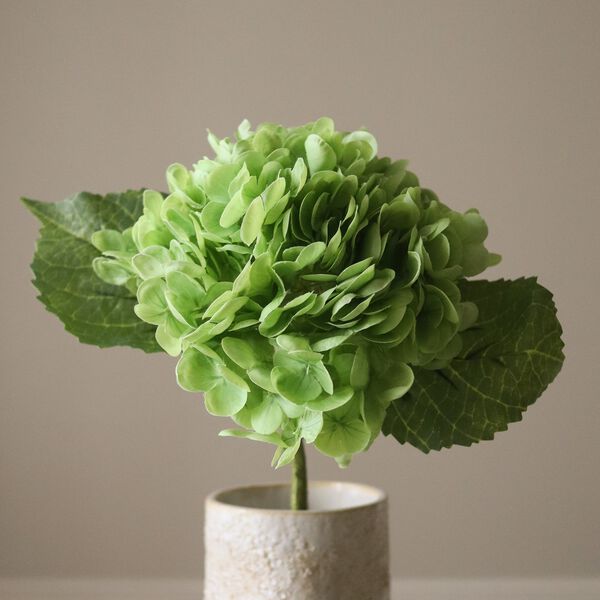Hydrangea Flower