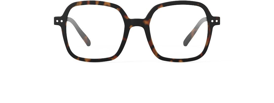 READING OFFICE Tortoise