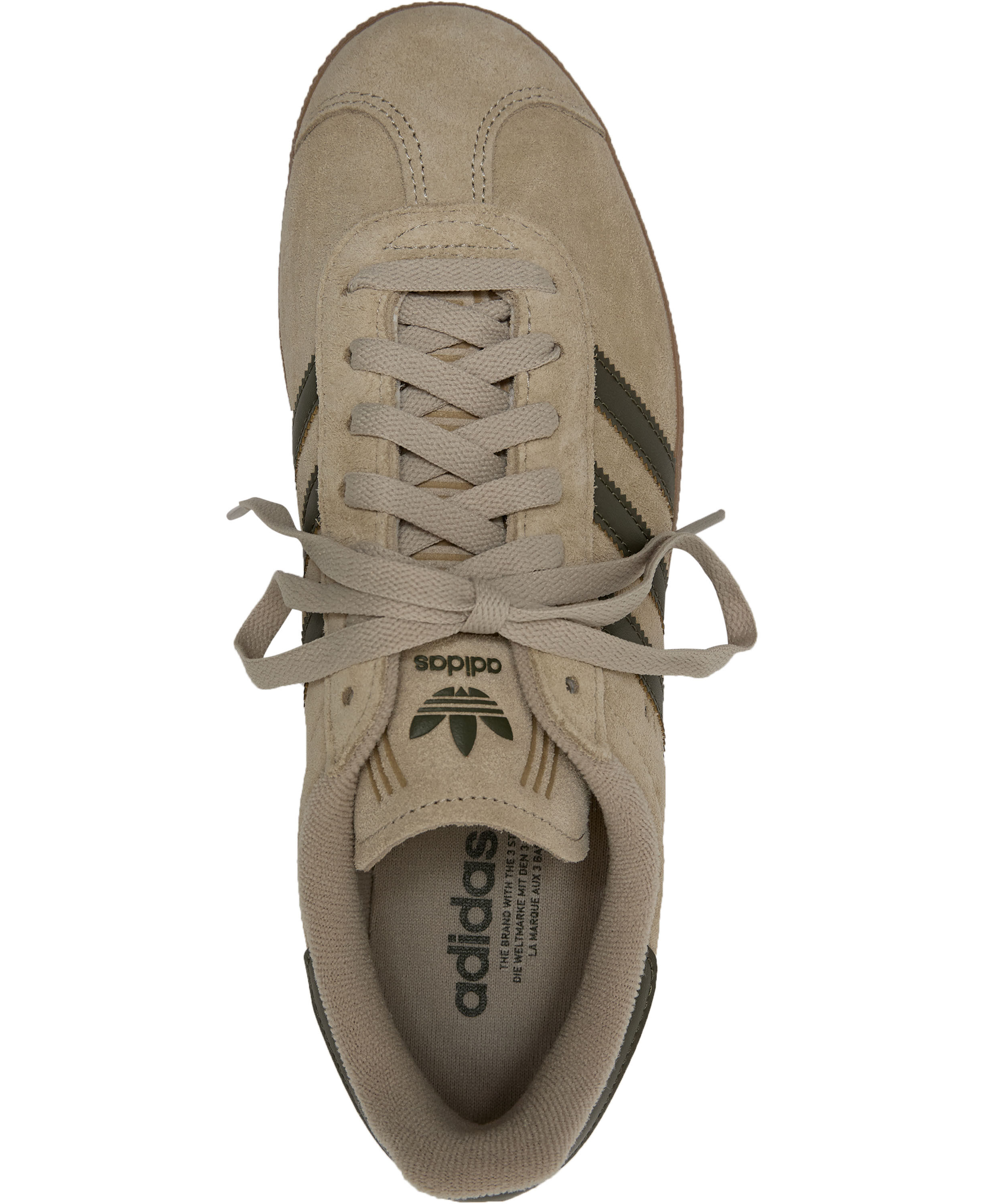 GAZELLE