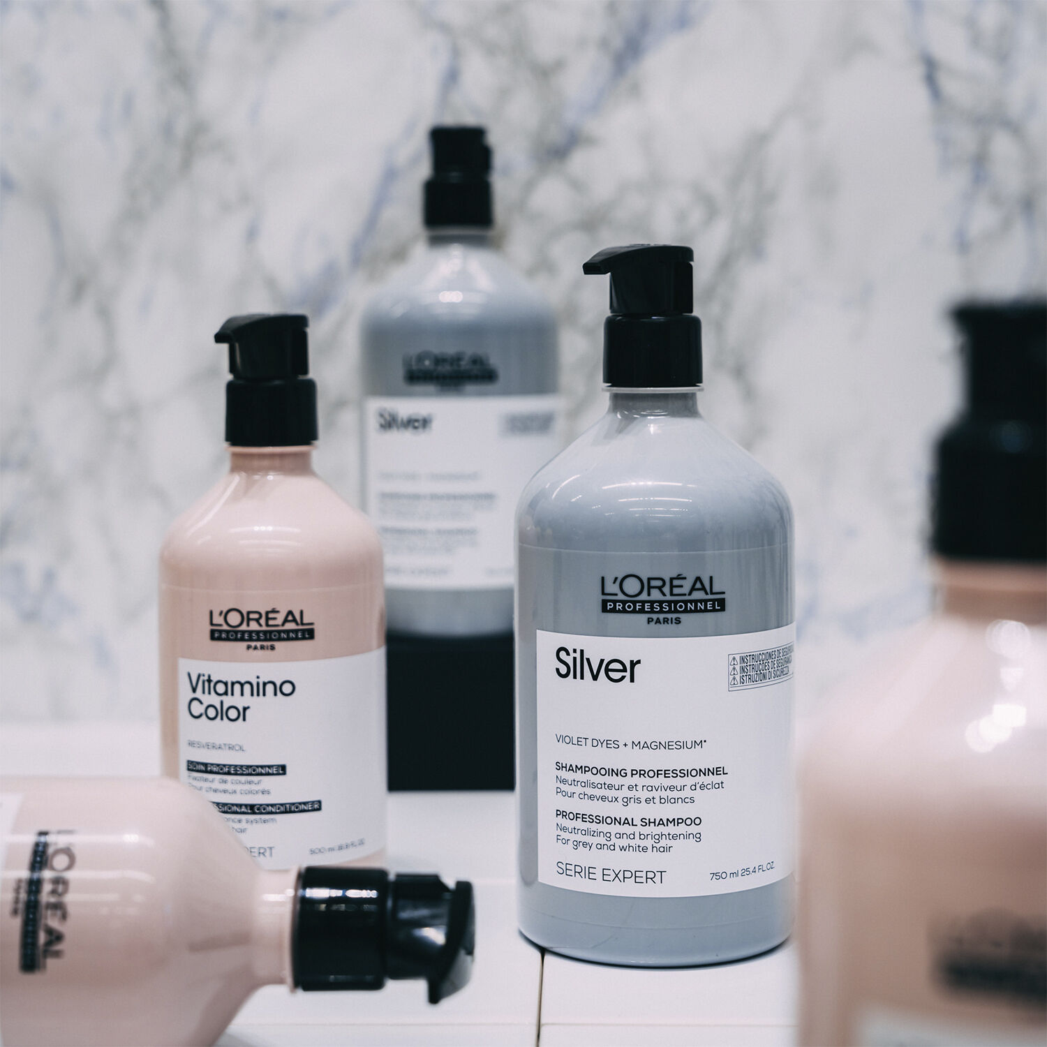 L'Or&eacute;al Professionnel Silver Shampoo 500ml