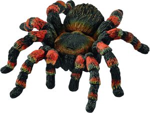 Sch Tarantula