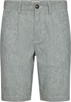 BS Darion Regular Fit Shorts