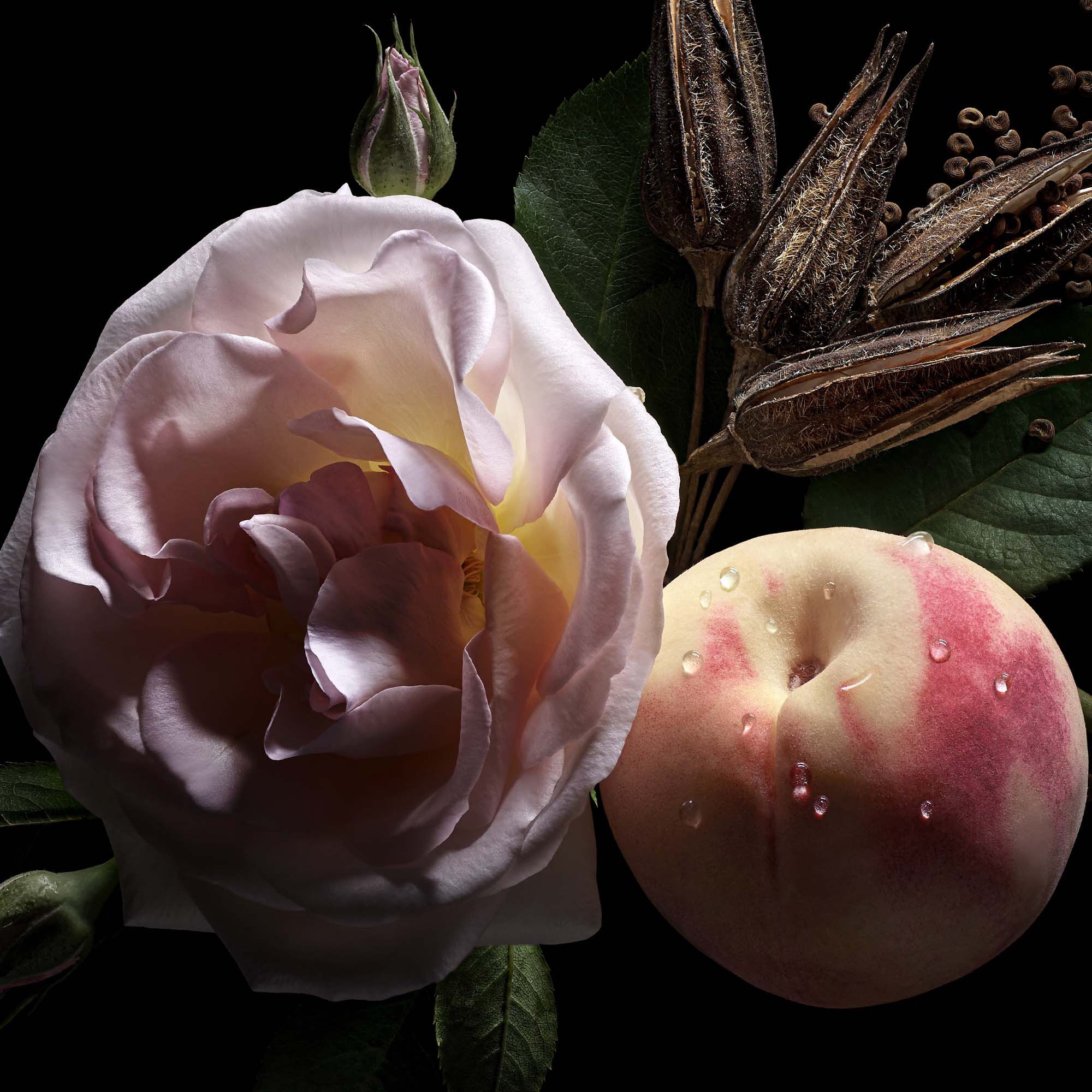 HER MAJESTY RFL 100ML/3. 4FLOZ