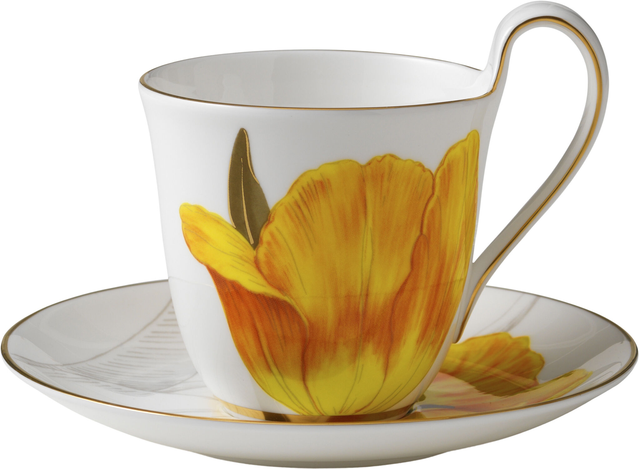 Flora h&oslash;jhanks- og underkop tulipan